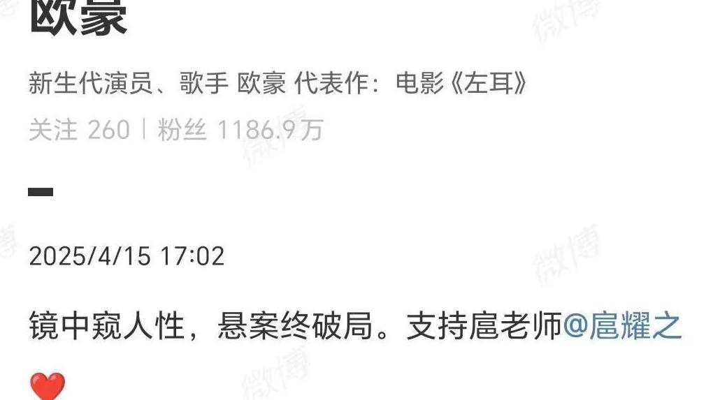 海外看大陆剧app教程